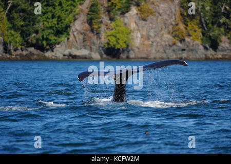 Prises le long du nord de Vancouver, tout droit de Johnstone Island, BC Canada Banque D'Images