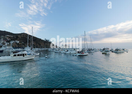 Seascape sunrise dans Avalon Harbor, regard vers le casino avec des yachts, bateaux de pêche et de voiliers dans la baie. luxury resort, attraction touristique Banque D'Images