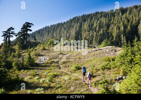 Un jeune homme et femme randonnée pédestre le long du sentier à Cobalt Lake sur la route à 5040 pic dans la région d'Alberni-Clayoquot, sur l'île de Vancouver, BC, Canada. Banque D'Images