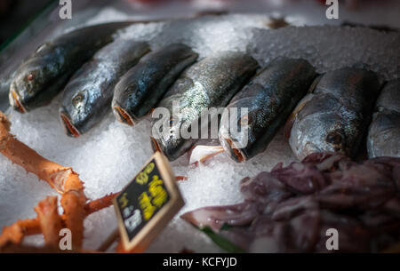 Le poisson frais sur la glace dans le marché aux poissons Banque D'Images