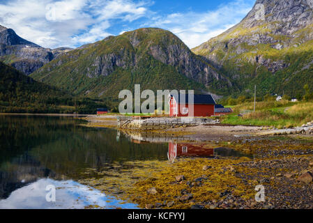 Rouge traditionnel rorbu cottages at la mer sur les îles Lofoten en Norvège Banque D'Images