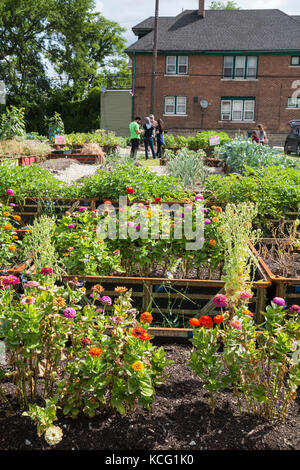 Detroit, Michigan - un jardin communautaire dans un quartier à faible revenu. Banque D'Images