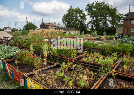 Detroit, Michigan - un jardin communautaire dans un quartier à faible revenu. Banque D'Images