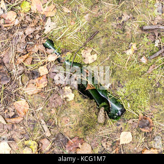 Vert bouteille cassée sur le terrain dans la forêt.L'objet, la nature, la pollution de l'environnement. Banque D'Images