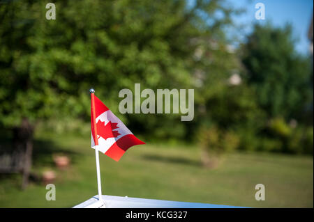 Petit drapeau canadien Banque D'Images