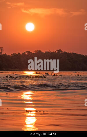 Coucher de soleil sur la rivière Cuiaba, nord du Pantanal, Brésil. Banque D'Images