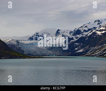 Les glaciers géants grâce les rives rocheuses tout le long et la réserve de parc national Glacier Bay, Alaska Banque D'Images