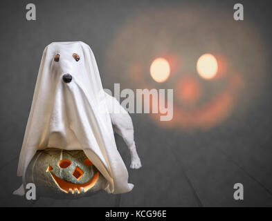 Funny ghost et traditionnelles avec citrouille halloween scary face au contexte Banque D'Images