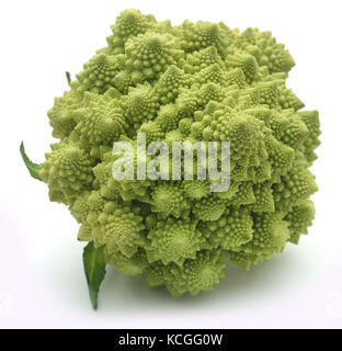 Le brocoli romanesco sur fond blanc Banque D'Images