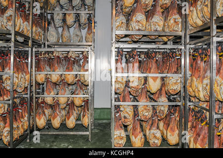 La production de jambon, jambon Belota, Estrémadure, Espagne Banque D'Images