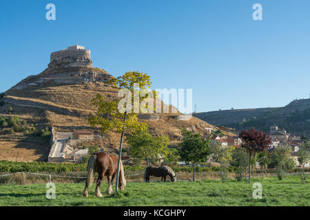 Curiel de Duero, Ribera del Duero, Valladolid, Espagne Banque D'Images