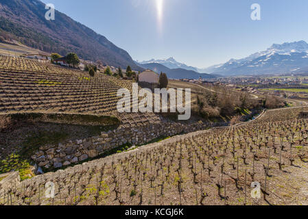 La viticulture du Clos du Rocher, Yvorne, Chablais, Vaud, Suisse Banque D'Images