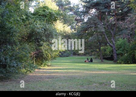 Un couple bénéficie d''un pique-nique romantique ensemble dans un parc sous un arbre Banque D'Images