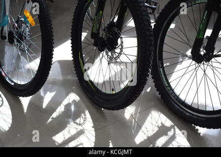 Rangées de roues avant et des pneus de vélo sur l'affichage avec roues en caoutchouc noir Banque D'Images