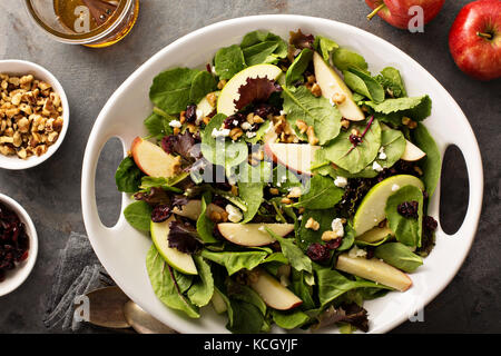 Salade d'automne, mélange printanier et cranberry apple Banque D'Images