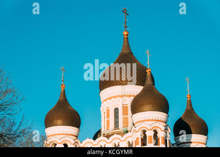 Tallinn, Estonie. dômes de la cathédrale Alexandre Nevsky est cathédrale orthodoxe dans la vieille ville de Tallinn, le plus important et le plus grandiose de la cathédrale orthodoxe de coupole. Banque D'Images