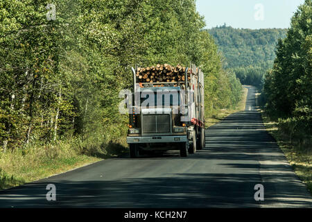 L'exploitation forestière grand chariot en mouvement sur la route à partir de la récolte de bois domaine plant Canada Ontario Québec Banque D'Images