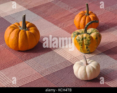 Quatre citrouilles différentes sur une table avec une nappe à carreaux Banque D'Images