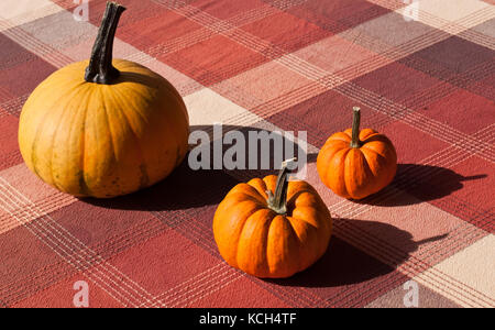 Trois citrouilles orange disposés sur une table avec une nappe à carreaux Banque D'Images