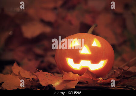 Jack-o'-lantern avec la lumière sur le feuillage d'automne halloween. arrière-plan. Banque D'Images