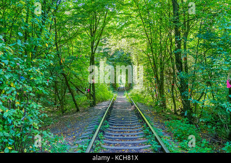 Marcher le long du tunnel de l'amour, la part du chemin de fer avec la forme voûtée unique d'arbres et arbustes autour d'elle, créé par les trains, déménagement par th Banque D'Images