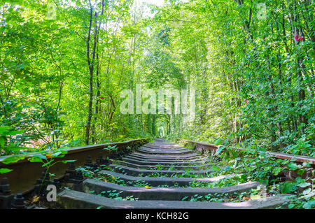 Tunnel de l'amour est le monument le plus populaire sur le chemin de fer, des couples et des groupes de touristes aiment se promener le long de la ligne de chemin de fer et de profiter de l'ombre d'un vert Banque D'Images