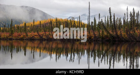 Décor de l'automne le long de la Route 1, près de Mentasta Lake, Alaska, Amérique du Nord. Banque D'Images