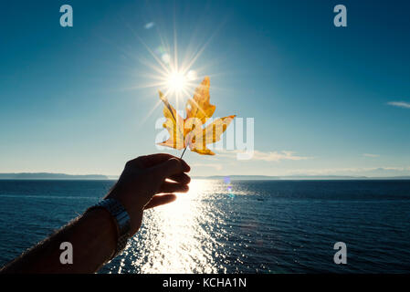 Feuille d'automne dans la main avec la solarisation a tenu sur la mer sur la côte. Banque D'Images