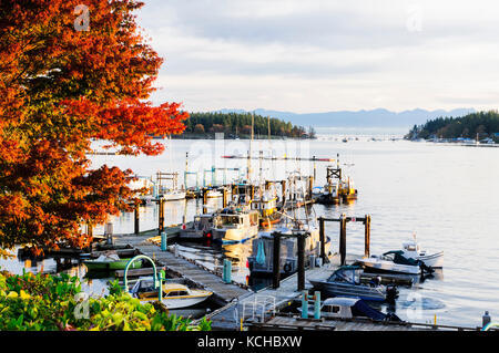 Le port de Nanaimo avec les bateaux de plaisance et les navires de pêche à Nanaimo, en Colombie-Britannique. Banque D'Images