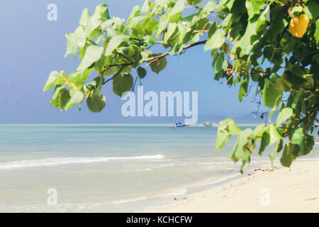 Plage de sable blanc et bleu de l'eau claire dans la destination d'été local de Siquijor Island Banque D'Images