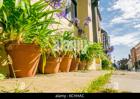 L'extérieur jardin contenant une période cottage sur une résidence typique de la high street Banque D'Images