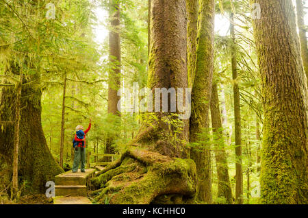 Une mère et son fils fixant une épinette de Sitka massif dans la vieille forêt de la vallée de la Carmanah, île de Vancouver, C.-B. Banque D'Images