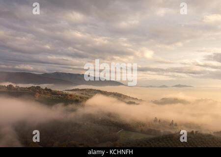 Dans une vallée remplie d'automne par la brume au coucher du soleil, avec des collines et d'arbres et de belles teintes chaudes, orange Banque D'Images