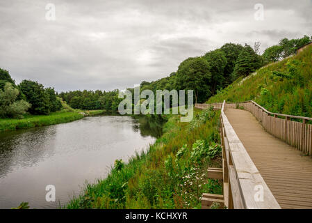 Passerelle en bois pour piétons le long de la rivière Don à seaton park, ville Aberdeen, Écosse Banque D'Images