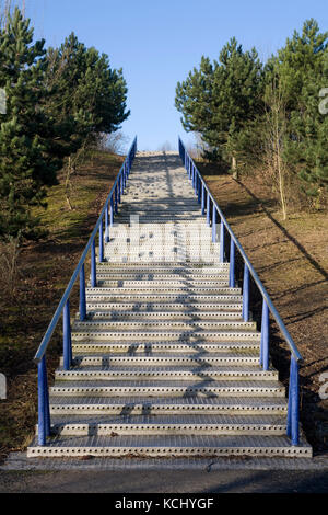 Allemagne, quartier de Ruhr, Essen, escaliers vers le tas de Schurenbach. Deutschland, Ruhrgebiet, Essen, Treppe zur Schurenbachhalde. Banque D'Images