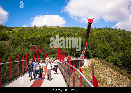 Allemagne, région de Ruhr, Herten, le pont Dragon de l'autre côté de la rue Cranger au tas Hoheward. Deutschland, Ruhrgebiet, Herten, die Drachenbruecke ueb Banque D'Images