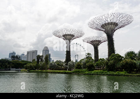 Quelques-uns des 18 superarbres à énergie solaire fabriqués par l'homme du lac Dragonfly dans les jardins près de la baie de Singapour. Banque D'Images