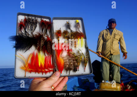 Les mouches utilisées pour la pêche à la mouche de la baby tarpon sur les appartements et les rivières de Campeche Mexique Yucatan Banque D'Images