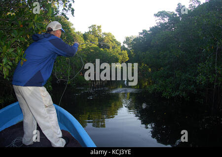 Pêche Les pêcheurs pour le saut sur le tarpon juvénile appartements et les rivières près de Campeche au Mexique Banque D'Images