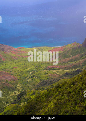 Vue sur le magnifique canyon kalalau, sur la côte de Na Pali de Kauai, Hawaii, USA. Banque D'Images