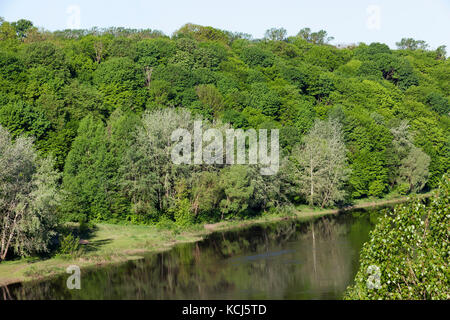 Rivière et arbres à feuilles caduques qui poussent sur la rive. paysage forêt mixte dans la saison du printemps. Banque D'Images