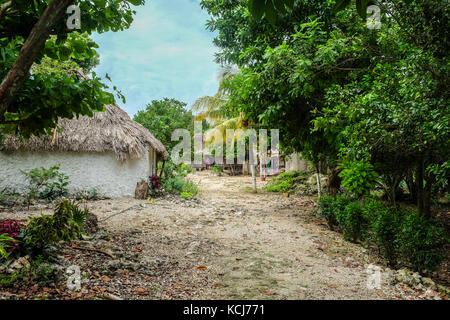 Village maya et en refuge dans la jungle près de l'habitation Ek Balam mexique Banque D'Images