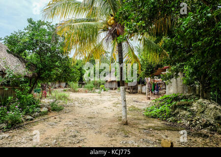 Village maya et en refuge dans la jungle près de l'habitation Ek Balam mexique Banque D'Images