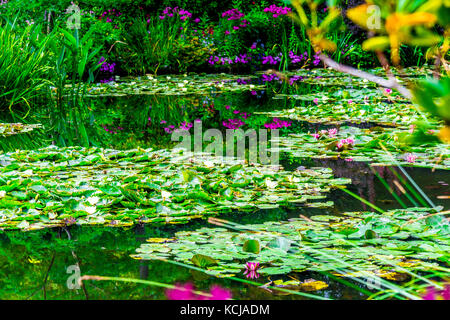 Célèbre étang aux nénuphars dans le jardin de Monet Banque D'Images