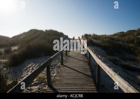 Petit chemin en bois menant à travers les dunes de Praia da Tocha, Portugal Banque D'Images