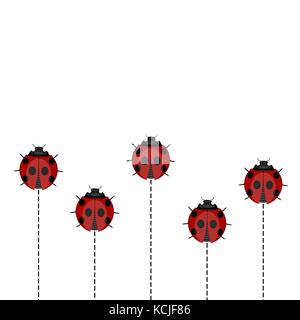 Motif coccinelle sur fond blanc Illustration de Vecteur