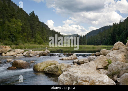 Ruisseau à truite et l'étang de Spearfish canyon, les Black Hills du Dakota du Sud Banque D'Images