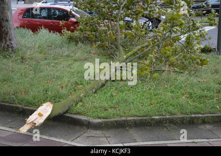 Berlin, Allemagne. 5Th oct, 2017. L'Allemagne météo : storm 'xavier' hits berlin crédit : Markku rainer peltonen/Alamy live news Banque D'Images