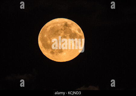 Aberystwyth pays de Galles Royaume-Uni, jeudi 05 octobre 2017 Météo Royaume-Uni : une glorieuse « Harvest Moon » pleine lune se levant dramatiquement au-dessus des collines à la périphérie d'Aberystwyth lors d'une nuit de nuages brisés dans l'ouest du pays de Galles. Le terme Moisson Lune fait référence à la pleine lune qui tombe le plus près de l'équinoxe d'automne, qui a eu lieu le 22 septembre. La plupart des années, la Lune de la récolte se produit en septembre, mais tous les trois ans environ, elle se produit en octobre. Crédit photo : Keith Morris/Alamy Live News Banque D'Images