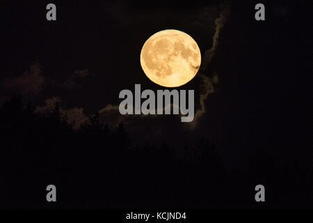 Aberystwyth pays de Galles Royaume-Uni, jeudi 05 octobre 2017 Météo Royaume-Uni : une glorieuse « Harvest Moon » pleine lune se levant dramatiquement au-dessus des collines à la périphérie d'Aberystwyth lors d'une nuit de nuages brisés dans l'ouest du pays de Galles. Le terme Moisson Lune fait référence à la pleine lune qui tombe le plus près de l'équinoxe d'automne, qui a eu lieu le 22 septembre. La plupart des années, la Lune de la récolte se produit en septembre, mais tous les trois ans environ, elle se produit en octobre. Crédit photo : Keith Morris/Alamy Live News Banque D'Images